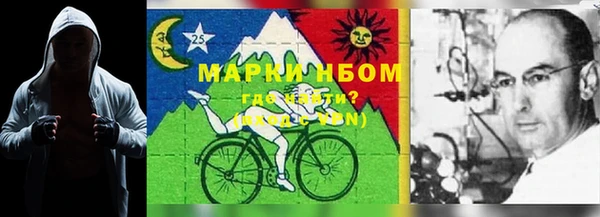 амф Новокубанск