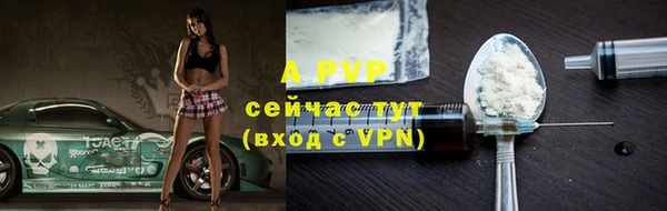амф Новокубанск