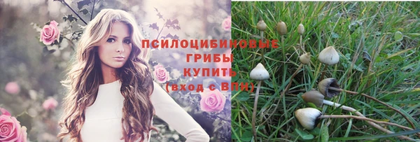 амф Новокубанск