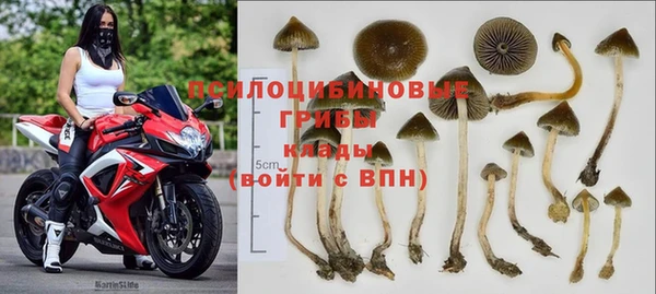 мяу мяу кристалл Новодвинск