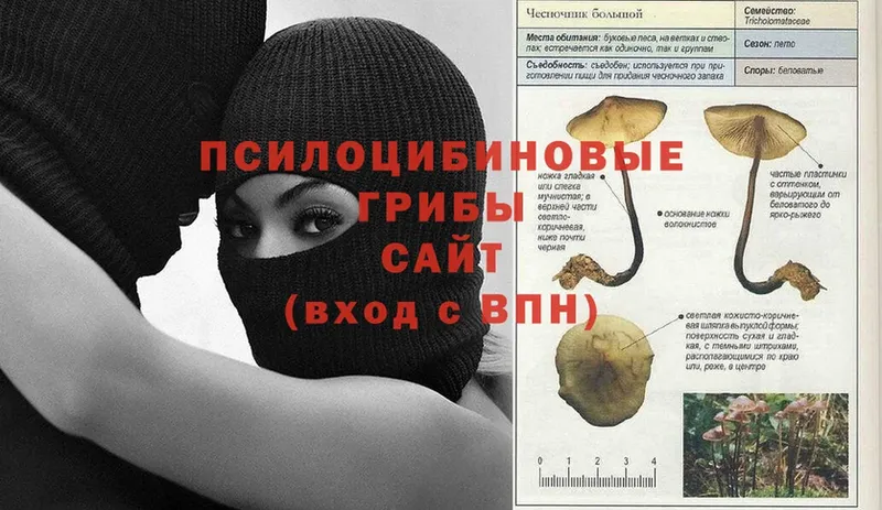 hydra зеркало  Краснообск  Псилоцибиновые грибы ЛСД 