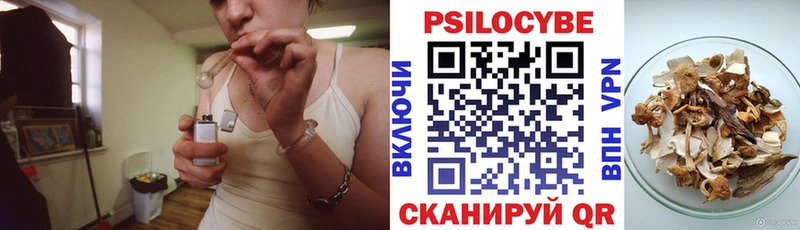 Галлюциногенные грибы мицелий  Краснообск 